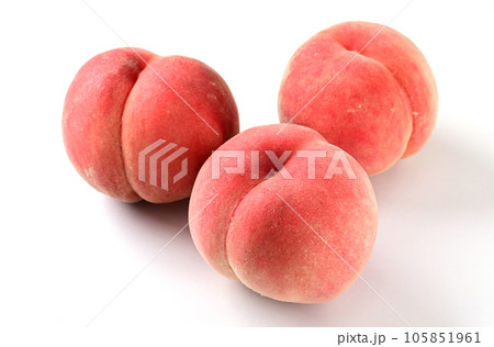 桃 桃 105851961