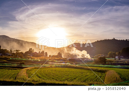 京都の秋、稲刈り終盤の嵯峨野の田園、野焼きの煙に夕陽がさす 京都の秋、稲刈り終盤の嵯峨野の田園、野焼きの煙に夕陽がさす 105852040