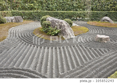 陰の庭　退蔵院　妙心寺 105852243