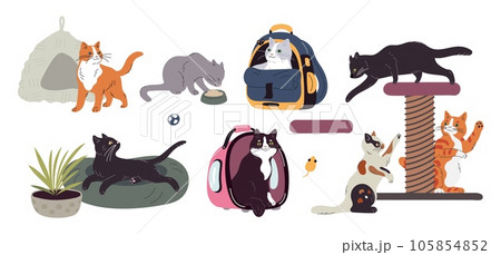 Cat accessories. Domestic animals care veterinary elements. Sun beds for kittens. Feline carriers and scratching posts. Happy pets. Cute kitty in bag. Cozy pillows. Garish vector set Cat accessories. Domestic animals care veterinary elements. Sun beds for kittens. Feline carriers and scratching posts. Happy pets. Cute kitty in bag. Cozy pillows. Garish vector set 105854852