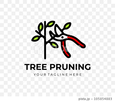 Tree pruning, garden pruner and secateurs, colored graphic design. Plant, trimming, nature, agriculture, garden and gardening, vector design and illustration Tree pruning, garden pruner and secateurs, colored graphic design. Plant, trimming, nature, agriculture, garden and gardening, vector design and illustration 105854883