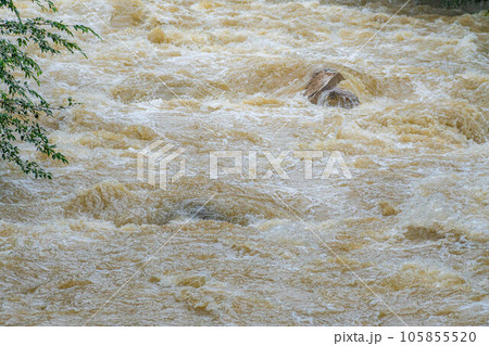【自然災害】濁流　大雨の後の川【長野県】 105855520