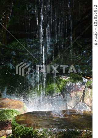 鞍馬寺 魔王の滝 京都市左京区 鞍馬寺 魔王の滝 京都市左京区 105855952