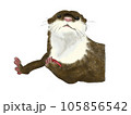 カワウソのイラスト 105856542