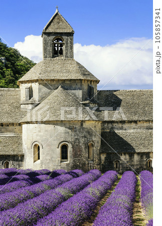 Abbey of Senanque Abbey of Senanque 105857341