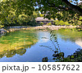 美しい日本庭園の池 105857622