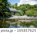 美しい日本庭園の池と家屋 105857625