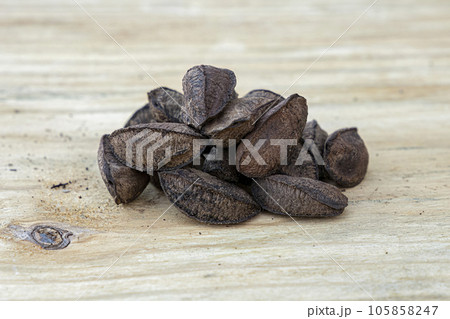 Brazil nuts on a board Brazil nuts on a board 105858247