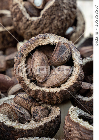 Brazil nuts on a board Brazil nuts on a board 105858567