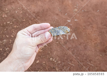 hand holding piece of gold ore 105858593
