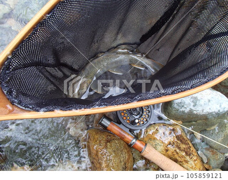 月の岩魚 月の岩魚 105859121