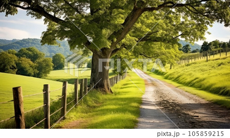 Path way through the autumnal forest natural way, road to the tropical forest field, relaxing with ecological environment, freedom lifestyle concept, Generative AI illustration 105859215