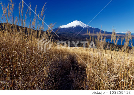 鉄砲木ノ頭から見る冬の富士山 105859418