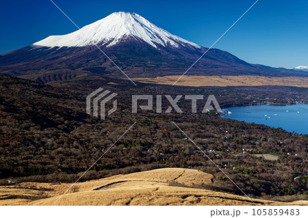 鉄砲木ノ頭から見る冬の富士山 105859483
