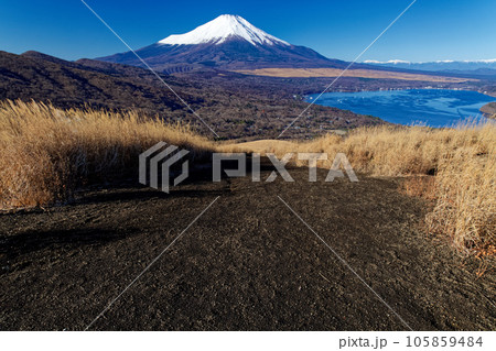 鉄砲木ノ頭から見る冬の富士山 105859484