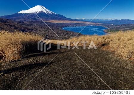 鉄砲木ノ頭から見る冬の富士山 105859485