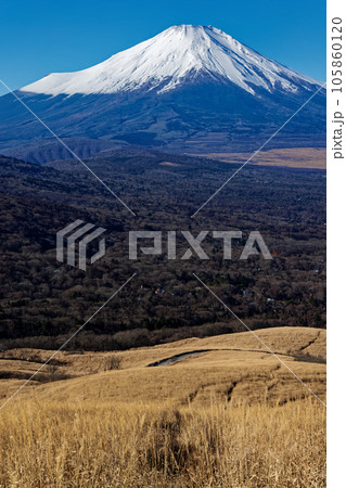 鉄砲木ノ頭から見る冬の富士山 105860120