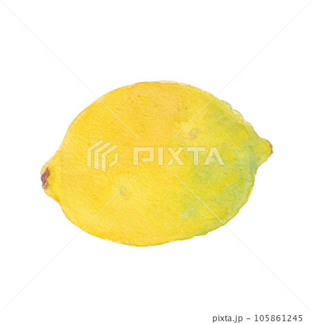 水彩で描いたレモンのイラスト 水彩で描いたレモンのイラスト 105861245
