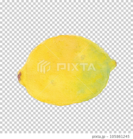 水彩で描いたレモンのイラスト 水彩で描いたレモンのイラスト 105861245