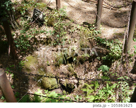 鳴沢溶岩樹型（特別天然記念物） 105861625