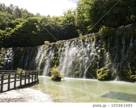 山中湖花の都公園　清流の里 105861985