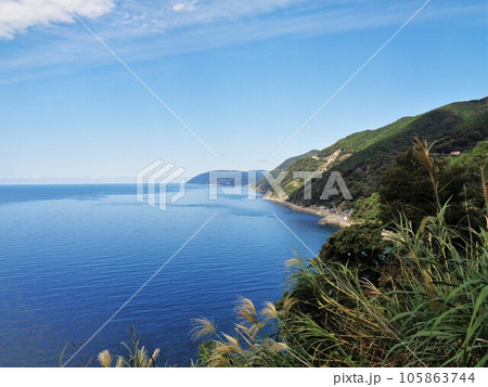 ススキと海岸線（横構図） 105863744