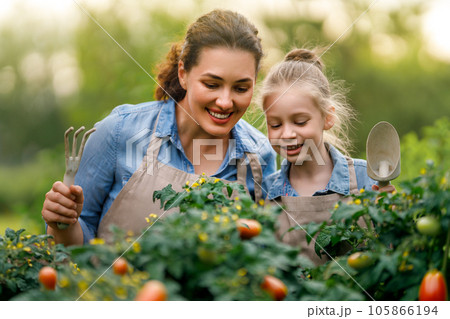mother and daughter gardening in the backyard 105866194
