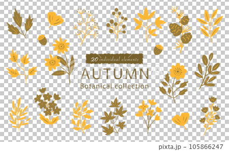 Autumn botanical illustration material set 20 points 105866247
