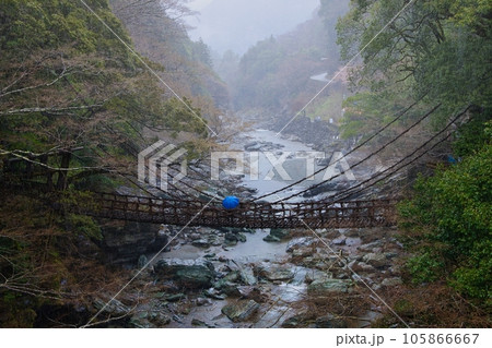 祖谷のかずら橋 105866667