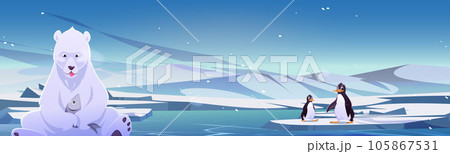 North pole background with polar bear and penguin North pole background with polar bear and penguin 105867531