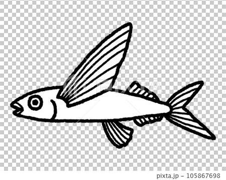 トビウオ・魚・線画 105867698