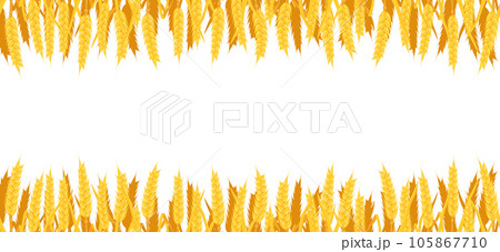 Vector seamless background of wheat. Border with yellow spikes. Autumn frame with cereal vegetation 105867710