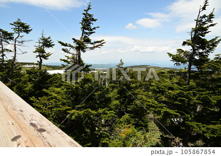 八幡平頂上展望台からの風景 105867854