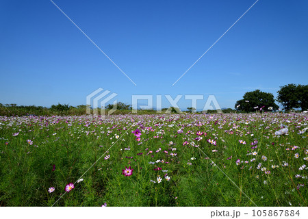 鬼怒グリーンパークへ行きました #14 鬼怒グリーンパークへ行きました #14 105867884