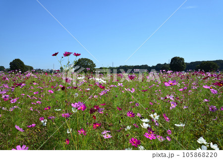 鬼怒グリーンパークへ行きました #25 鬼怒グリーンパークへ行きました #25 105868220