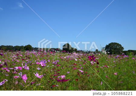 鬼怒グリーンパークへ行きました #26 鬼怒グリーンパークへ行きました #26 105868221