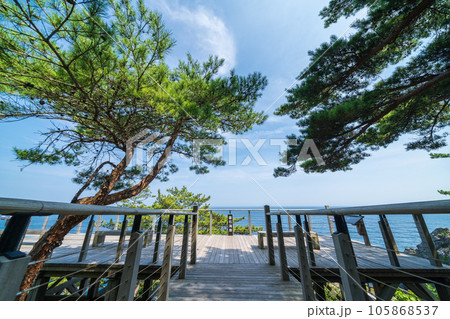 「岩手県」雷岩・乱曝谷展望台　碁石海岸 105868537