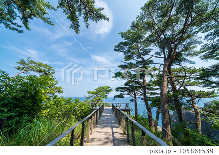 「岩手県」雷岩・乱曝谷展望台　碁石海岸 105868539