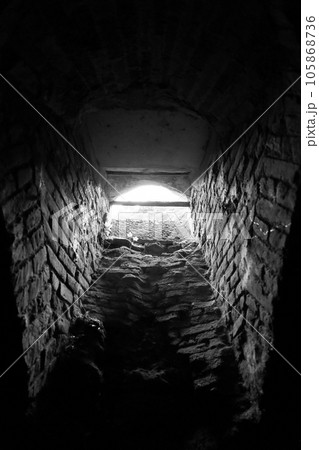 Very ancient bottles of wine lies in retro dark cellar Very ancient bottles of wine lies in retro dark cellar 105868736