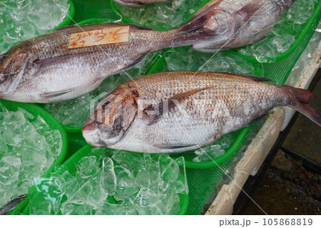 「魚市場」 「魚市場」 105868819