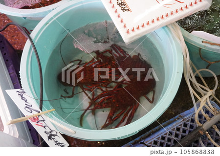 「魚市場」 「魚市場」 105868838