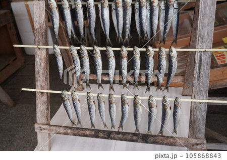「魚市場」 「魚市場」 105868843