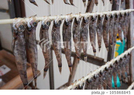 「魚市場」 105868845