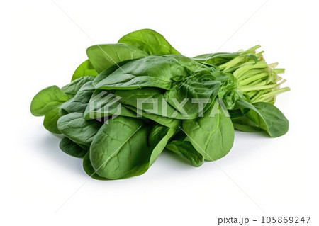 Green fresh spinach isolated on white background. Green fresh spinach isolated on white background. 105869247