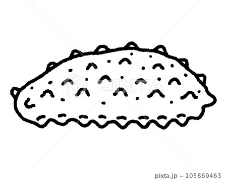 なまこ・線画 105869463