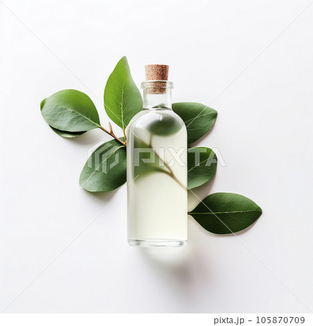 Essential eucalyptus oil with eucalyptus brunch closeup. 105870709