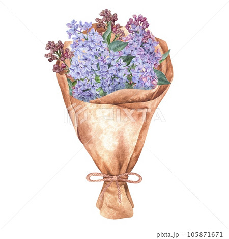 Bouquet of Lilac Flowers. watercolor botanical illustration. Hand drawn clip art isolated on a white background. Purple floral spring composition wrapped in craft paper. Vintage gift drawing 105871671