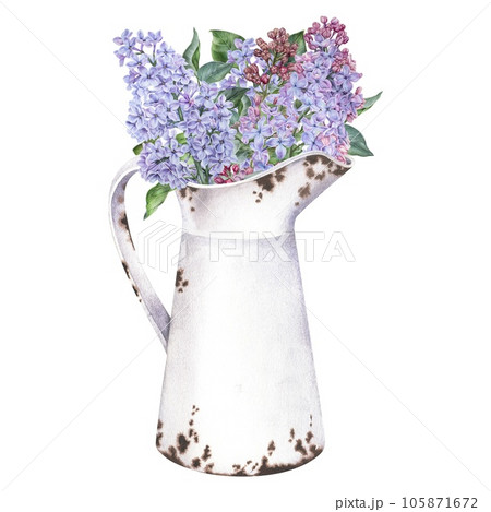 Bouquet of Lilacs in a vintage vase. Watercolor botanical illustration of purple flowers in a jar. Hand drawn bouquet in a rusty jug isolated on a white background. Floral drawing in retro farm style 105871672