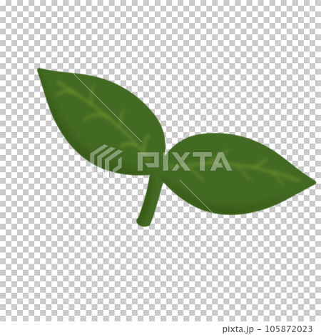 green leaves save the world 105872023