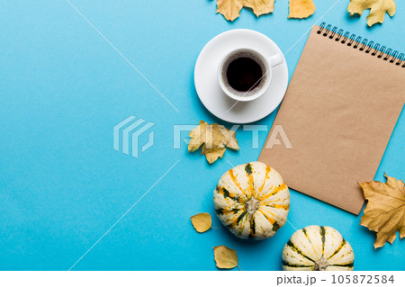 Autumn composition Autumn composition 105872584